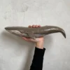 Ballenota Ceramic Wall Decoration