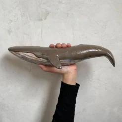 Ballenota Ceramic Wall Decoration
