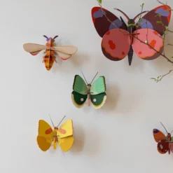 Bellissima - Butterfly