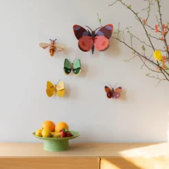 Bellissima - Butterfly