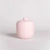 Blanc 05 Pink Vase