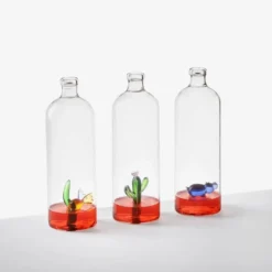 Bottle with Green Cactus Desert Plants