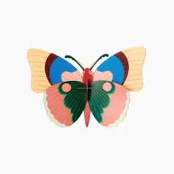 Cepora Butterfly