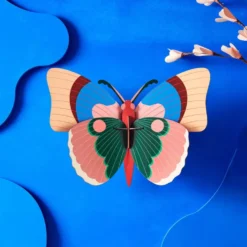 Cepora Butterfly