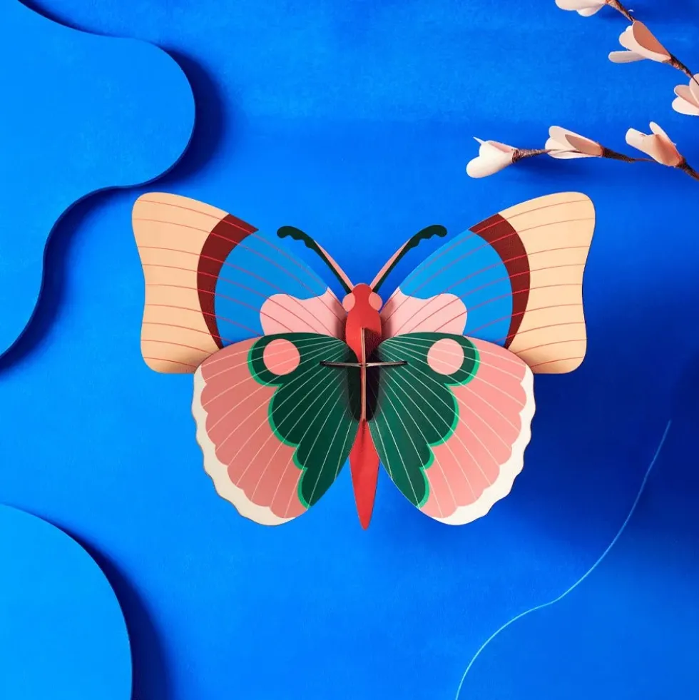 Cepora Butterfly