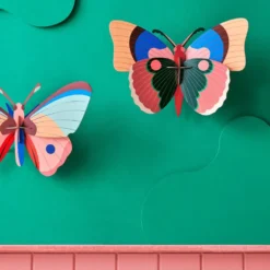 Cepora Butterfly