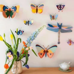 Cepora Butterfly