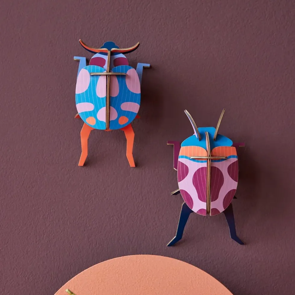Coccinelle Couple