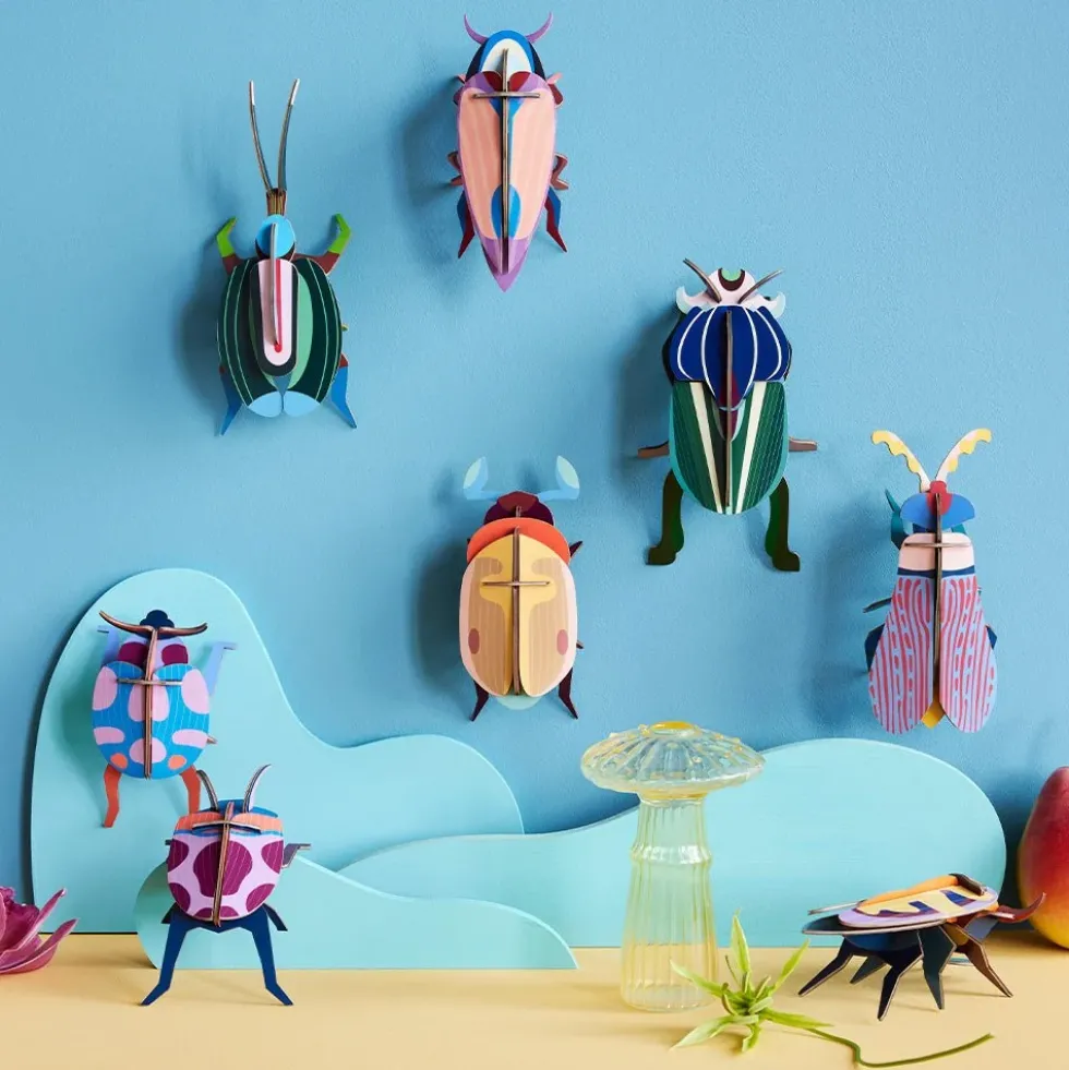Coccinelle Couple