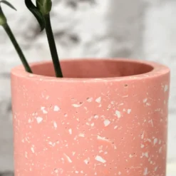 Cylindric Vase - Pink White