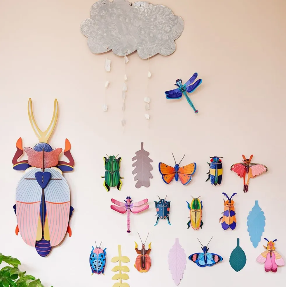Deluxe - Rhinoceros Beetle