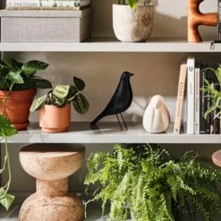 Eames House Bird Fresno Black Ash