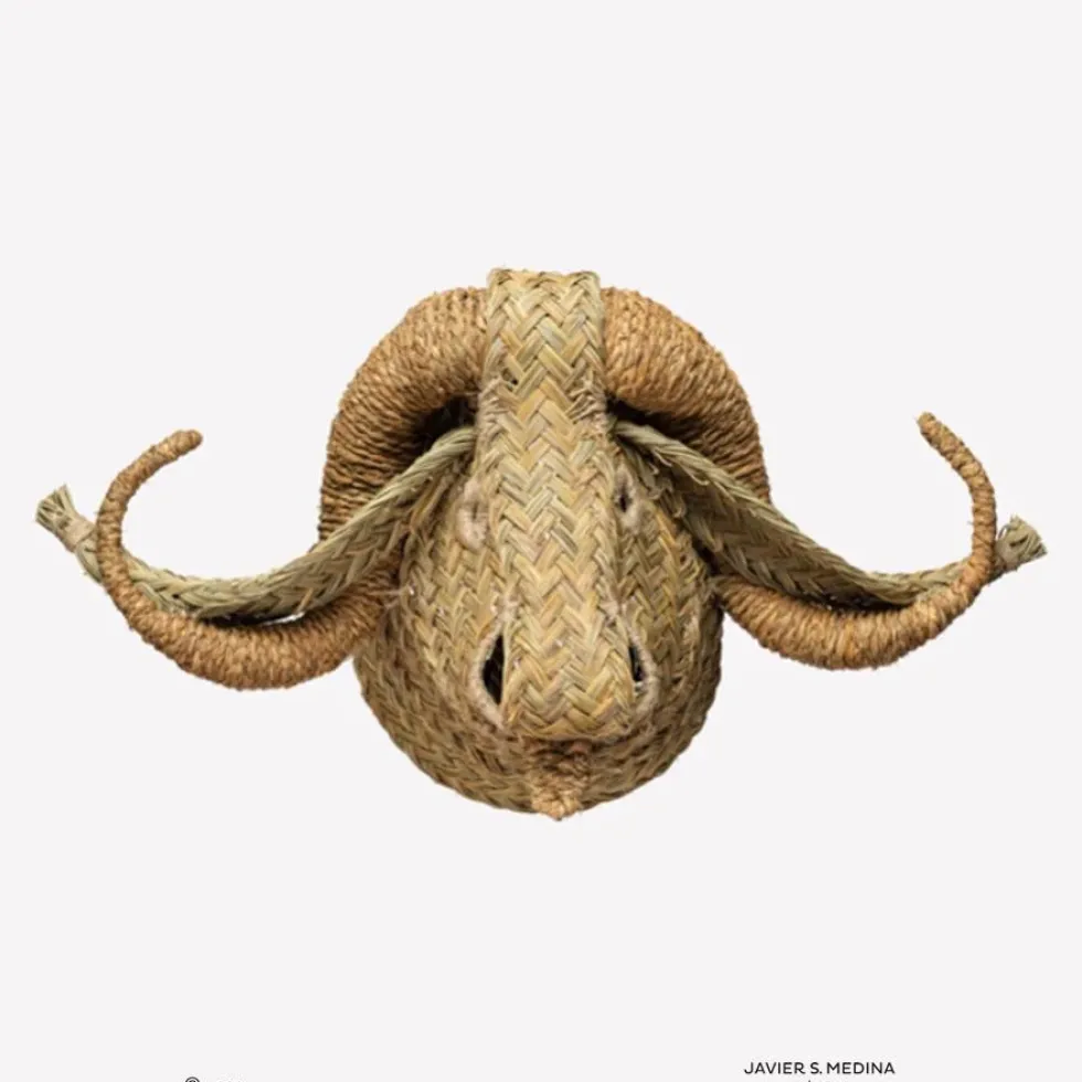 Ecological Trophy Buffalo Standar