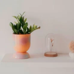 Euphoria Large Plant Pot