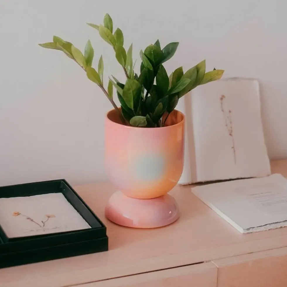 Euphoria Large Plant Pot