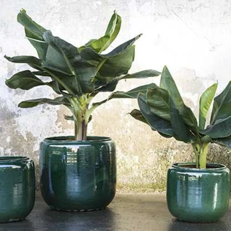 Flower Pot Costa L Green
