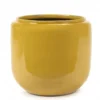 Flower Pot Costa L Honey