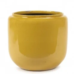Flower Pot Costa L Honey