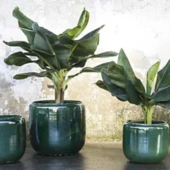 Flower Pot Costa M Green