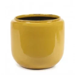 Flower Pot Costa M Honey