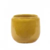 Flower Pot Costa S Honey