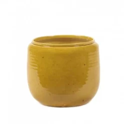 Flower Pot Costa S Honey