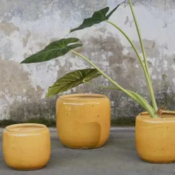 Flower Pot Costa XS Honey