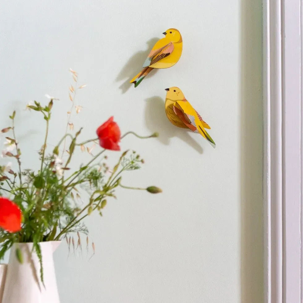 Garden Bird - Citrinella Pair