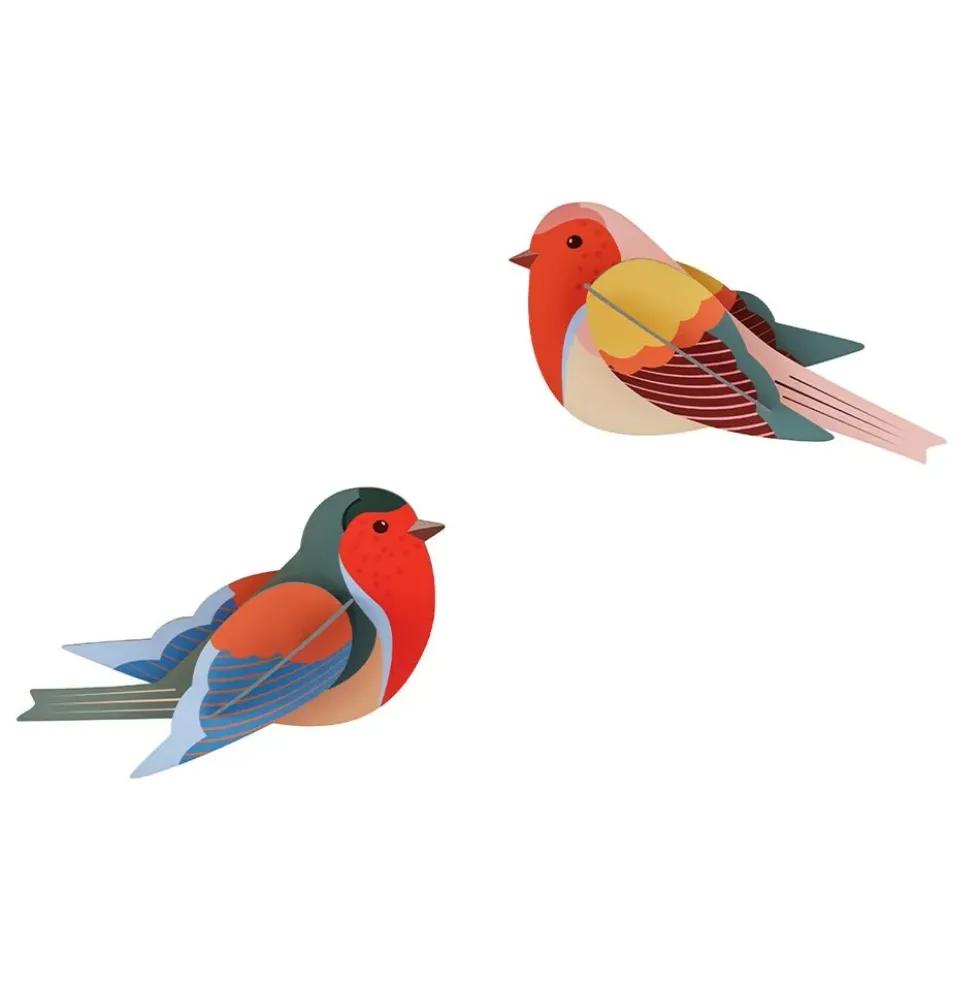 Garden Bird Robins