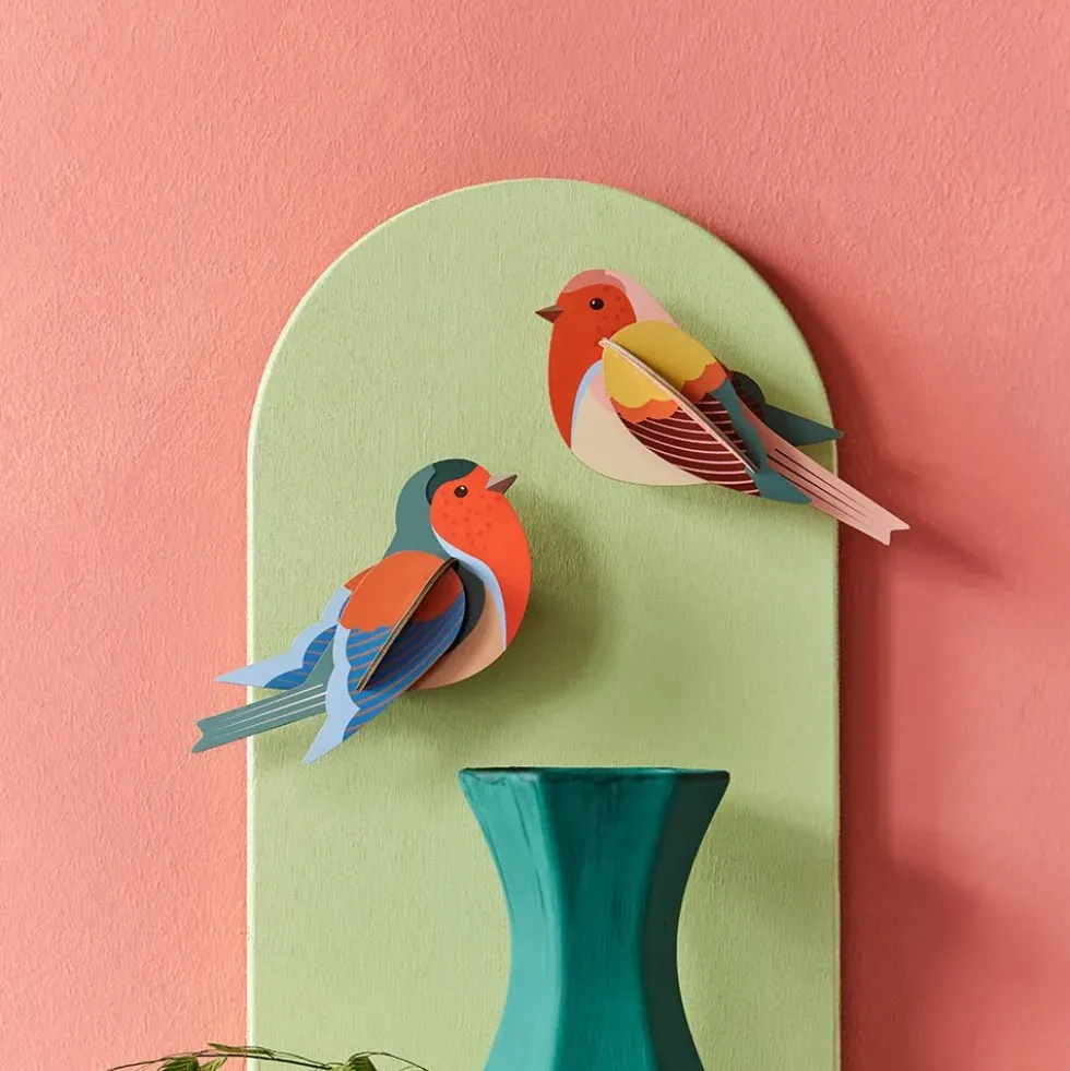 Garden Bird Robins