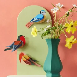 Garden Bird Robins