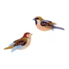 Garden Bird Sparrows