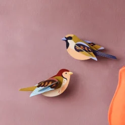 Garden Bird Sparrows