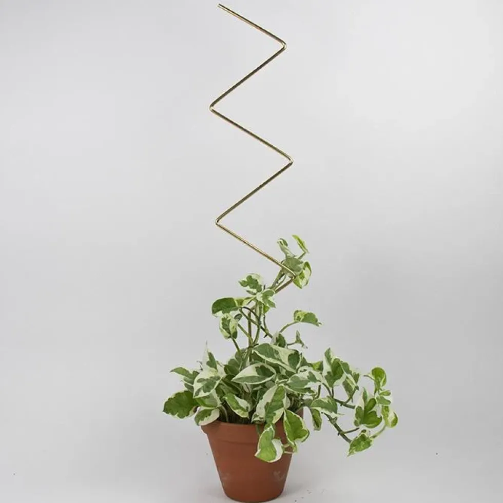 Golden Plant Stake ZigZag
