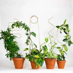 Golden Plant Stake ZigZag