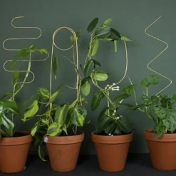 Golden Plant Stake ZigZag