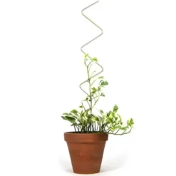 Golden Plant Stake ZigZag