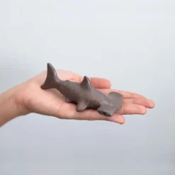 Hammerhead Shark