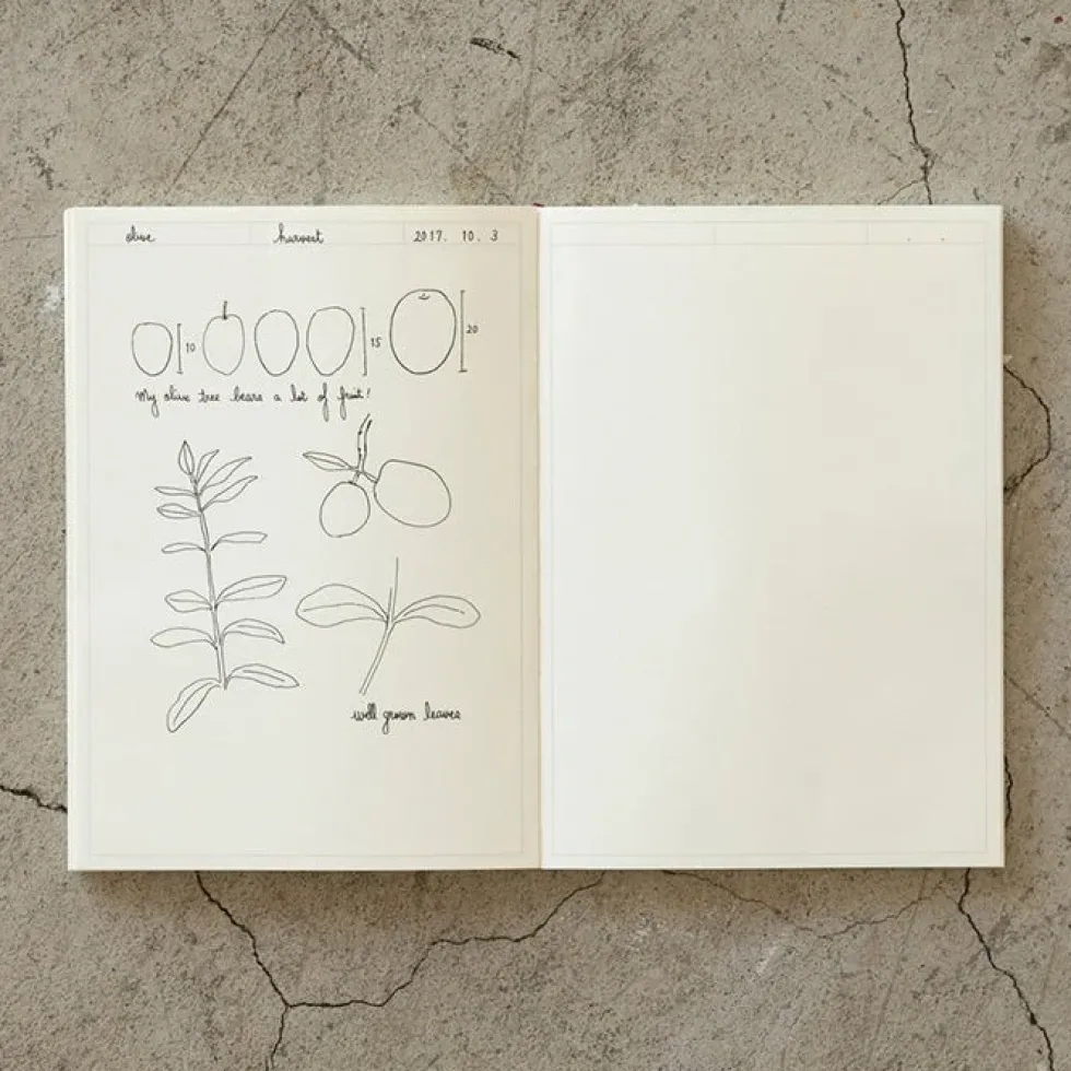 MD Notebook Journal A5 Frame