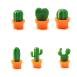 Mini Magnets Cacnet (set of 6)