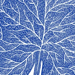 Papel de Agua 02 Giclée Print