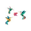 Paradise Bird - Dance of Hummingbirds