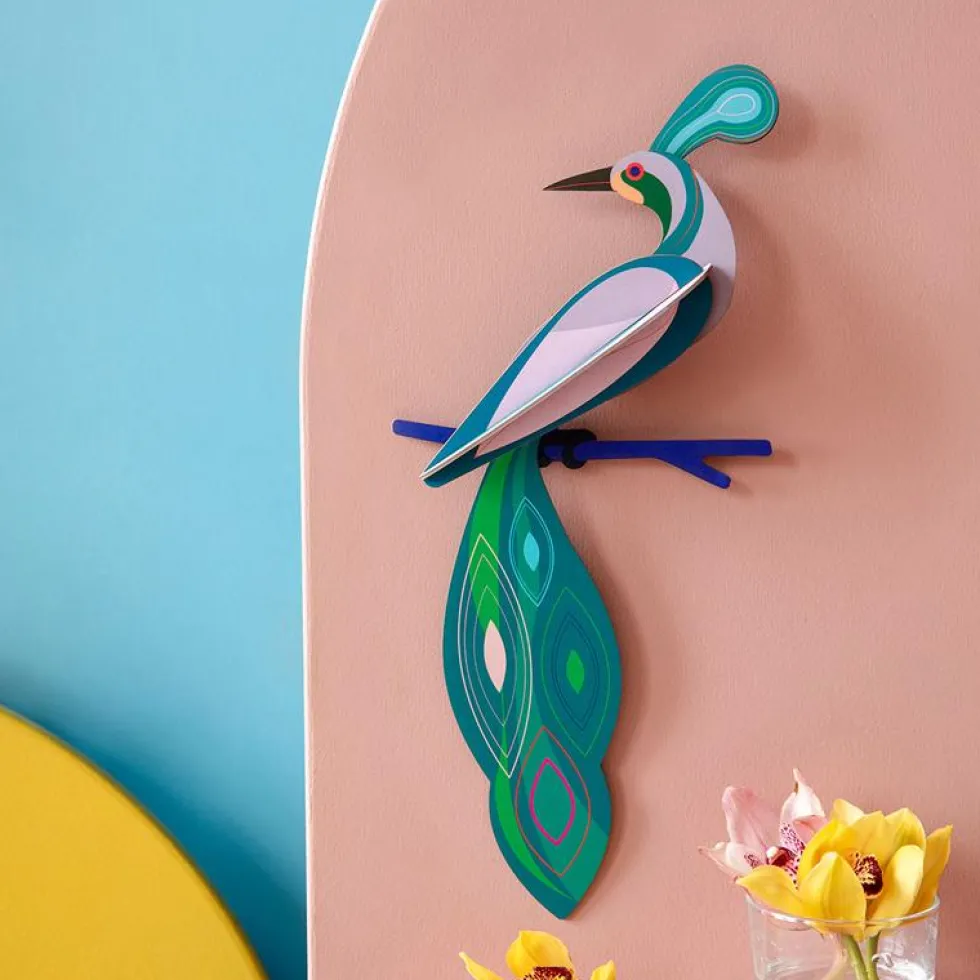 Paradise Bird Fiji