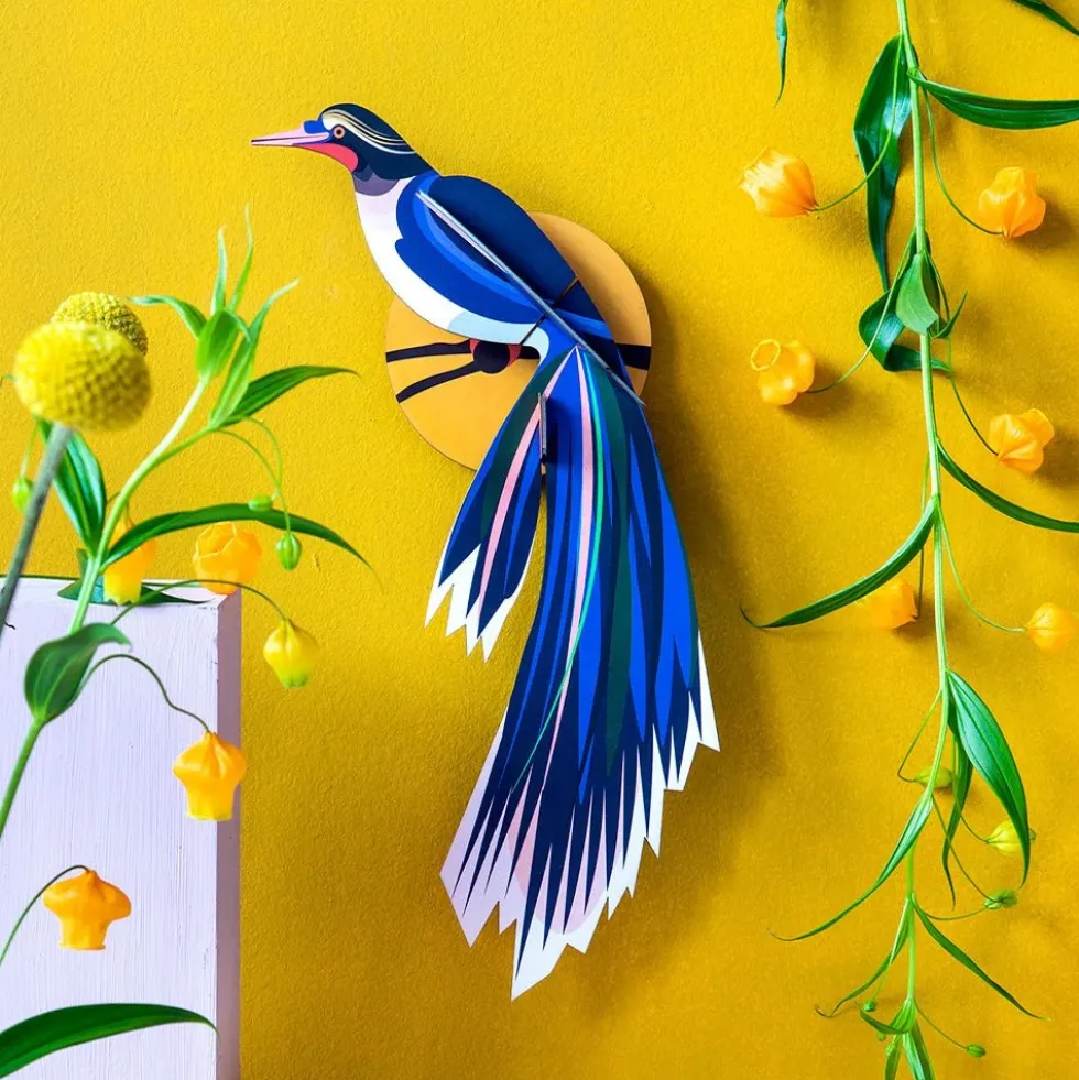 Paradise Bird Flores