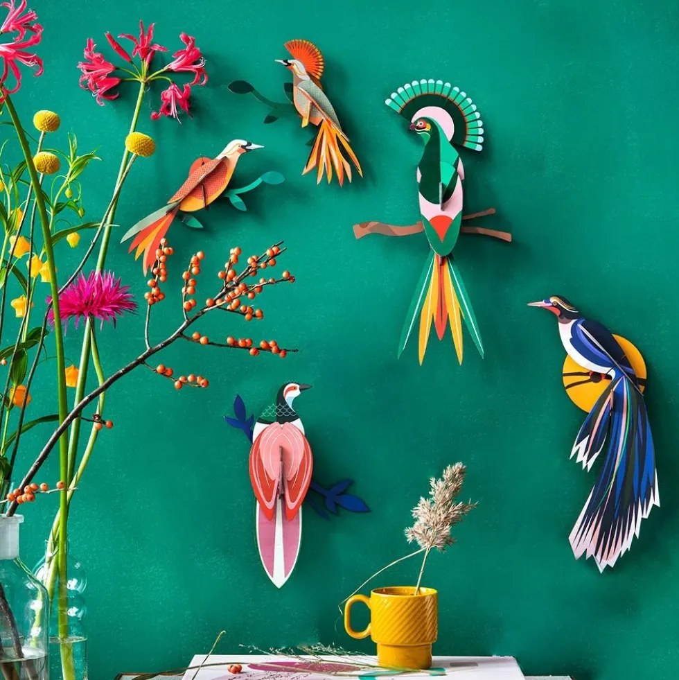 Paradise Bird Flores