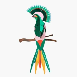 Paradise Bird Gili