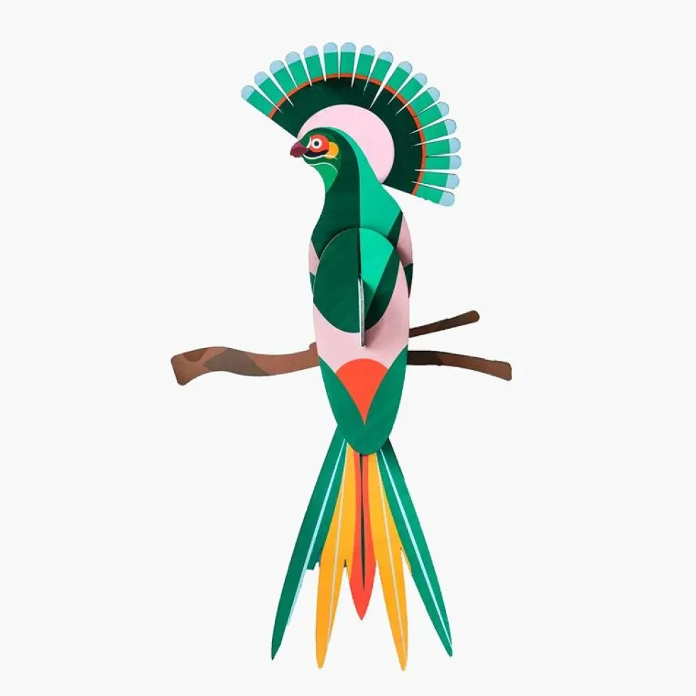 Paradise Bird Gili