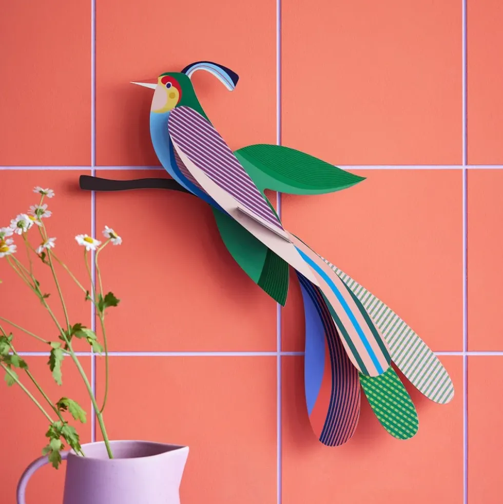 Paradise Bird Maya