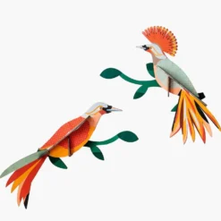 Paradise Bird Obi