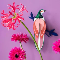 Paradise Bird Rani